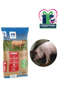 Фінішер для поросят Премікс 2,5% (від 50 кг живої ваги) (25 кг) Коудайс Україна 3640.025 Баланс
