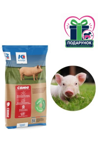 Стартер для поросят Концентрат (БМВД) 25 % (від 10 до 30кг живої ваги) (25 кг) Коудайс Україна 3222.250 Комфорт
