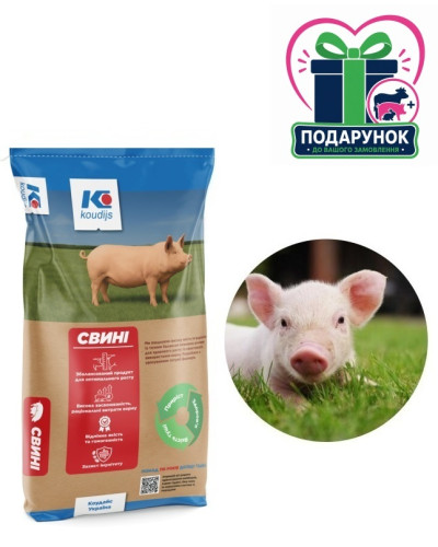 Стартер для поросят Концентрат (БМВД) 25 % (від 10 до 30кг живої ваги) (25 кг) Коудайс Україна 3222.250 Комфорт