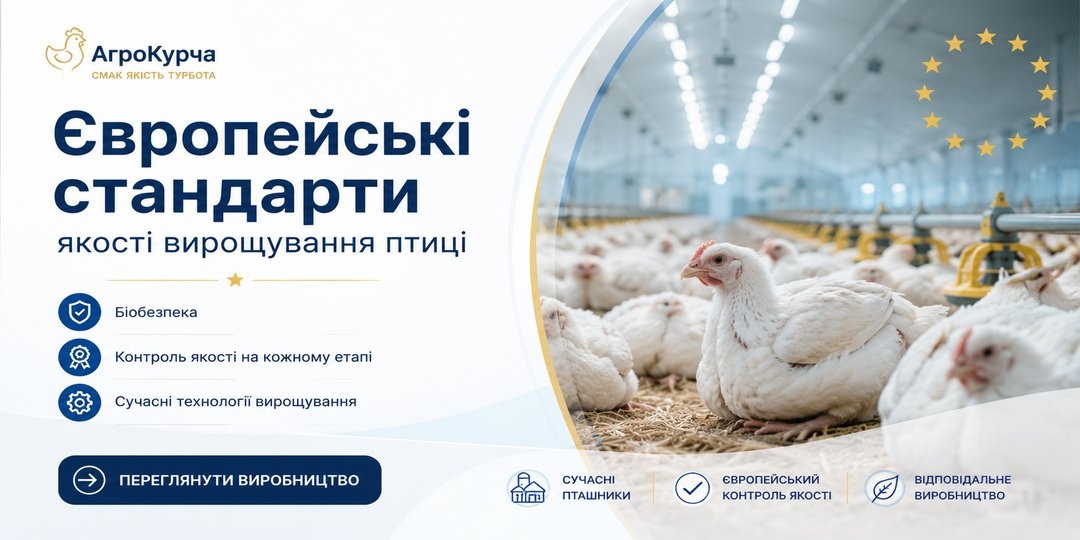Заголовок Заголовок Заголовок 