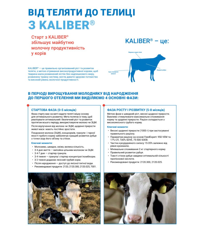 Стартер для телят Концентрат (БМВД) 30% (25 кг) Коудайс Україна 2120.300