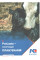 Концентрат (БМВД) 10% для лактуючих корів (25кг) (для підняття надою) Коудайс Україна 2320.100 (7074)