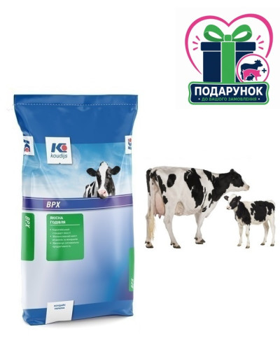 Концентрат (БМВД) 10% для лактуючих корів (25кг) (для підняття надою) Коудайс Україна 2320.100 (7074)
