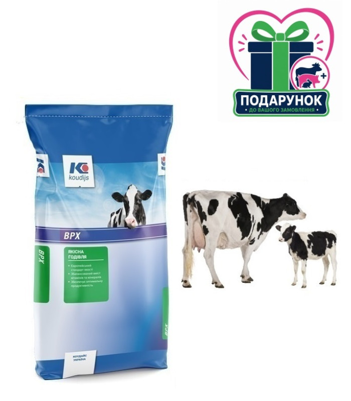Премікс 2% для дійних корів (25кг) Коудайс 2320.020