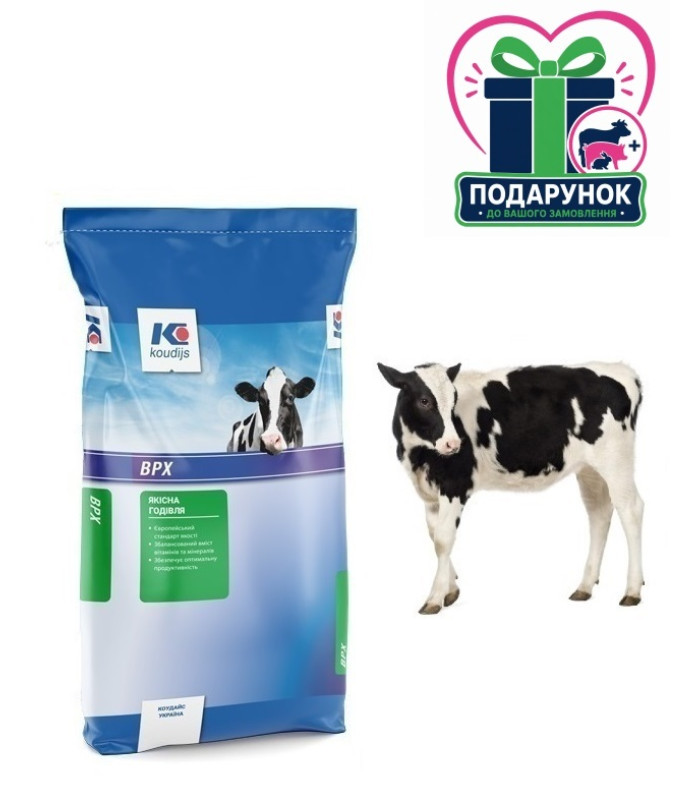 Стартер для телят Концентрат (БМВД) 30% (25 кг) Коудайс Україна 2120.300